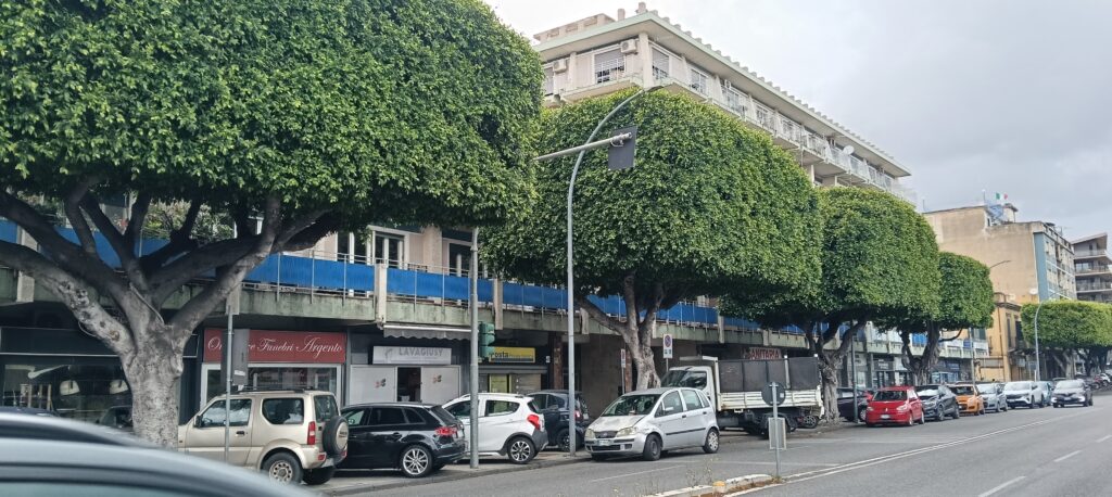 Viale Della Libertà n. 41 cpl Palano Viale Della Libertà n. 41 cpl Palano