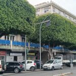 Viale Della Libertà n. 41 cpl Palano